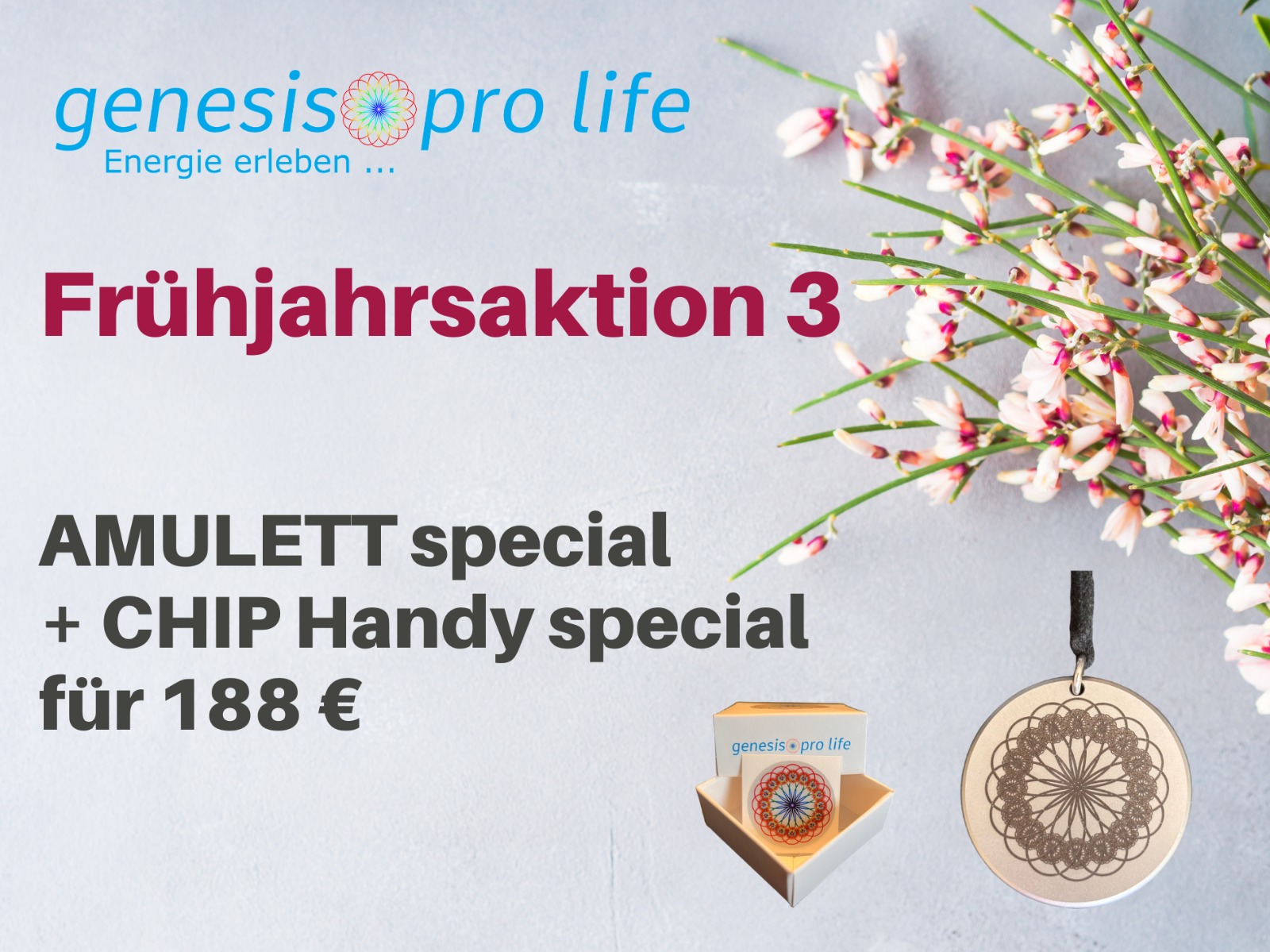 Frühjahrsaktion-3-2026