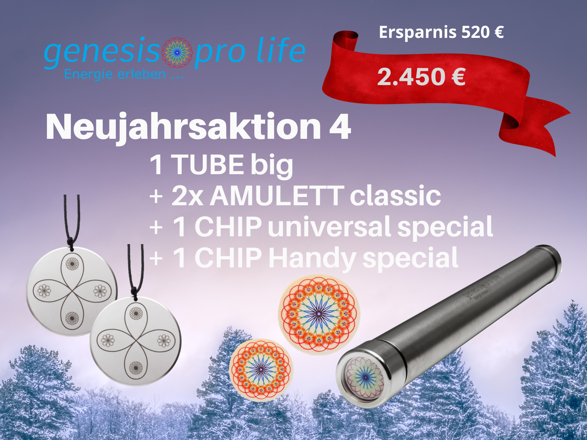 Neujahrsaktion 4-2026