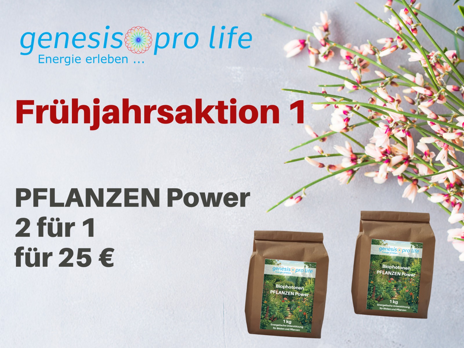 Frühjahrsaktion-1-2026